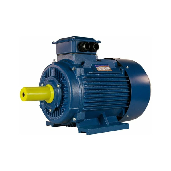 Электродвигатель 5АИ 180 М2 30/3000 IM 1001 01.01.213464