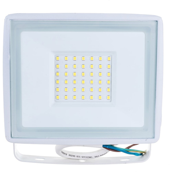 Прожектор ЭРА LPR-023-W-65K-050 Б0054642