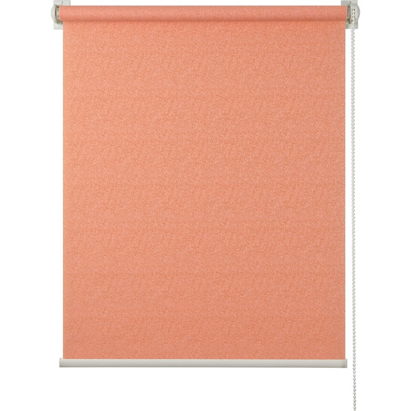 Рулонная штора ПраймДекор 3062103