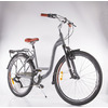 Женский велосипед Alpine Bike Costa 26" 2022, ALPB_CostaWT_M_22MY (Рама: M (Рост: 165-180 см), Цвет: серый)