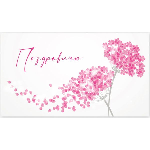 Конверты для денег, Поздравляю (нежная гортензия), 5 шт.