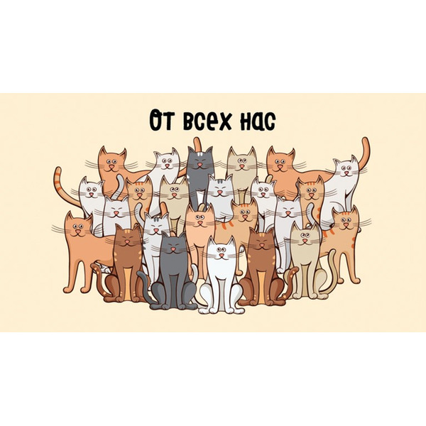 Конверты для денег, От всех нас (котики), 5 шт.