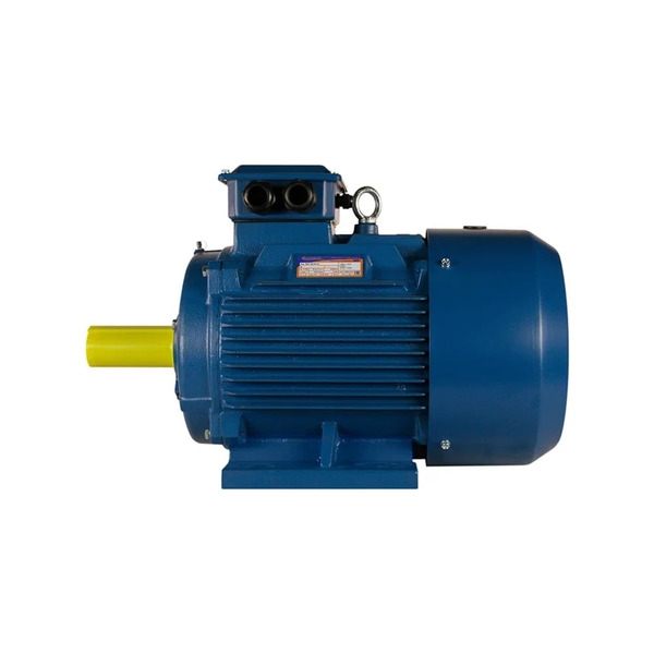 Электродвигатель 5АИ 355 S2 250/3000 IM 1001 01.01.220133