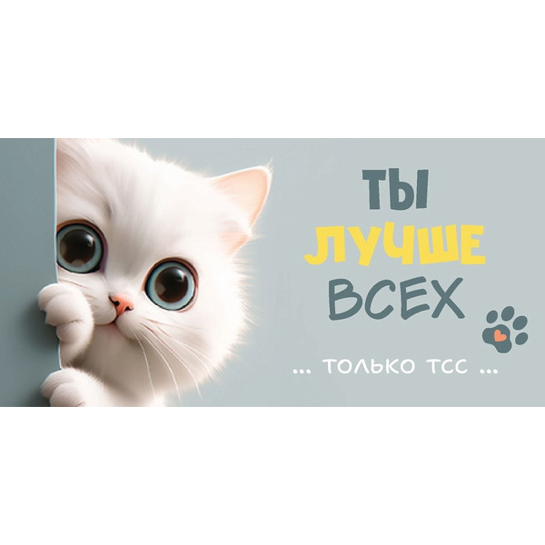 Конверты для денег, Ты лучше всех (котик), 10 шт.