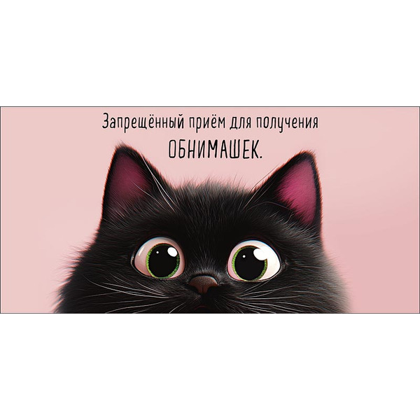 Конверты для денег, Запрещенный прием для получения обнимашек (кот), 10 шт.