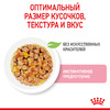 ROYAL CANIN Kitten Instinctive Корм влаж.кус.в желе д/котят пауч 85г