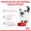 ROYAL CANIN Kitten Instinctive Корм влаж.кус.в желе д/котят пауч 85г
