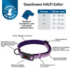 COA Ошейник для собак "HALTI Collar", фиолетовый, M, 30-50см (Великобритания)