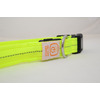 DUVO+ Ошейник для собак светящийся, нейлоновый, жёлтый, 50-70см/2.5см (Бельгия)