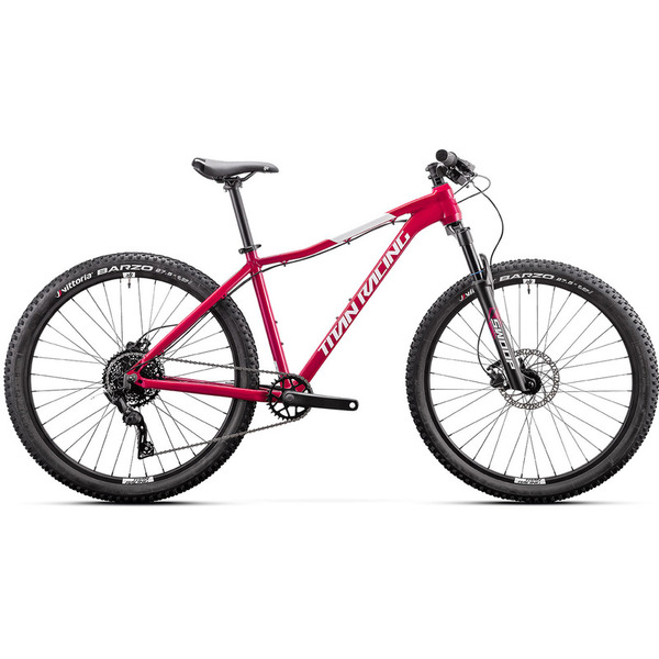 Горный велосипед Titan Racing Rogue Calypso Cruz M, год 2024, цвет Розовый, ростовка 17