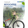Горный велосипед Format 1413 29, год 2023, цвет Черный-Красный, ростовка 17