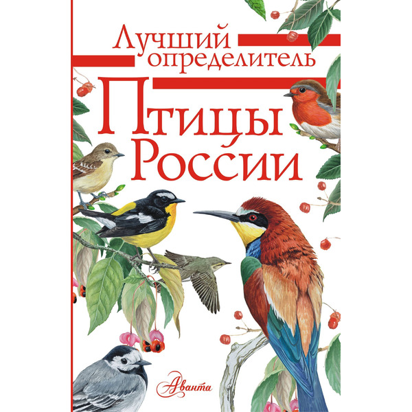 Птицы России