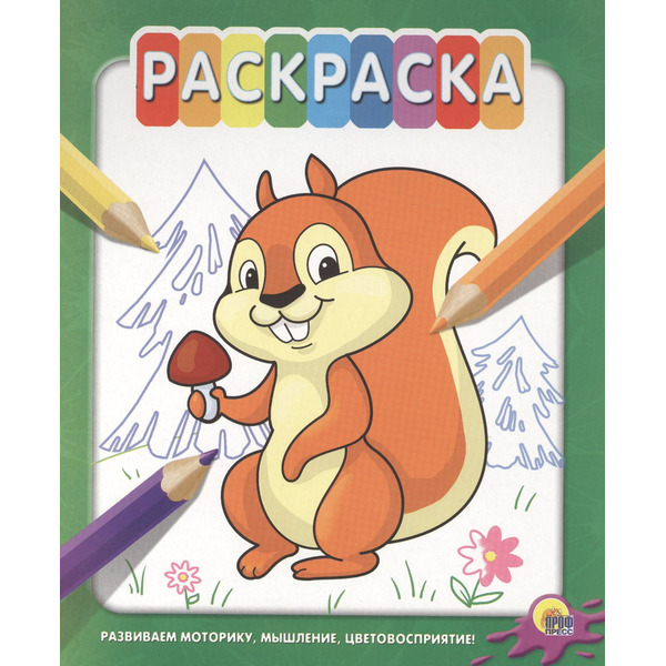 Раскраска на гребне. Белка