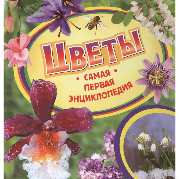 Цветы