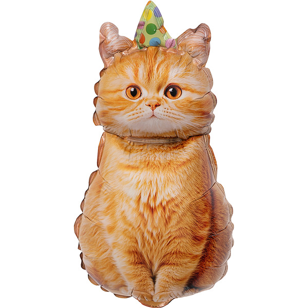 Шар с клапаном (17"/43 см) Мини-фигура, Котик в колпачке, 5 шт. в уп.