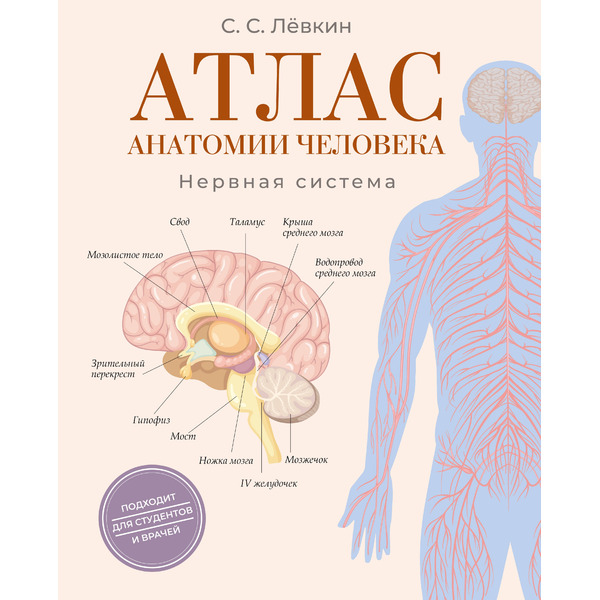 Атлас анатомии человека. Нервная система