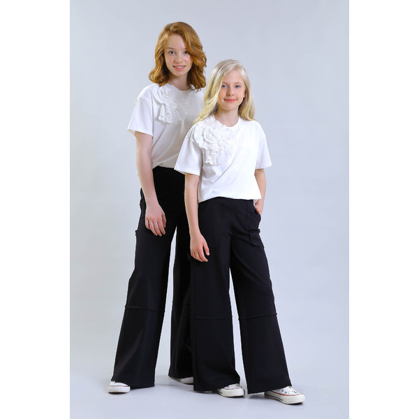 Брюки FSL-417-524-ТВК-340 (черный)