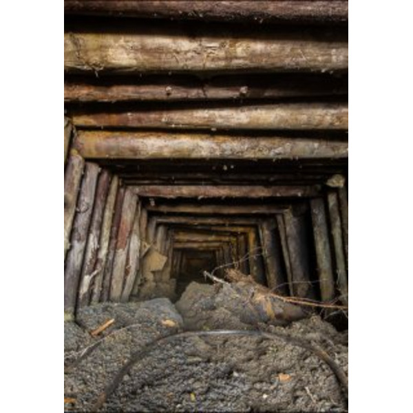 Чтобы выжить