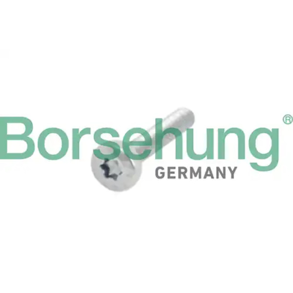 болт установочный! Audi A3, Skoda Oktavia, VW Golf/Passat 1.4/1.6 03> B10634 BORSEHUNG