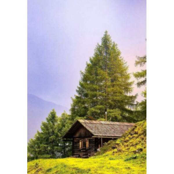 Крайне искалеченная девушка