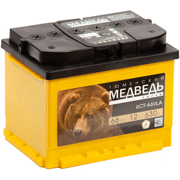 Автомобильный аккумулятор Тюменский Медведь 66 Ач прямая полярность L2