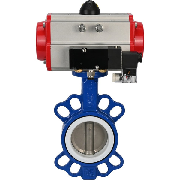 Затвор DN.ru wcb-316l-ptfe D050-02288