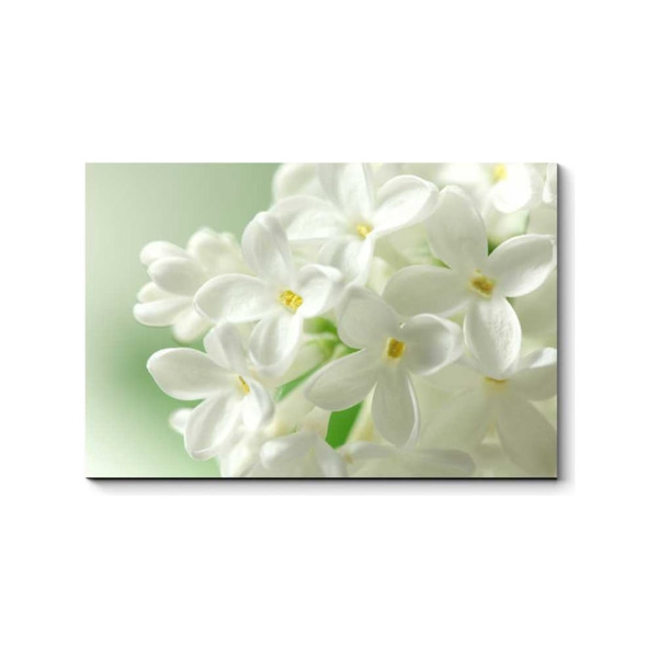 Картина Picsis 2836-9992531