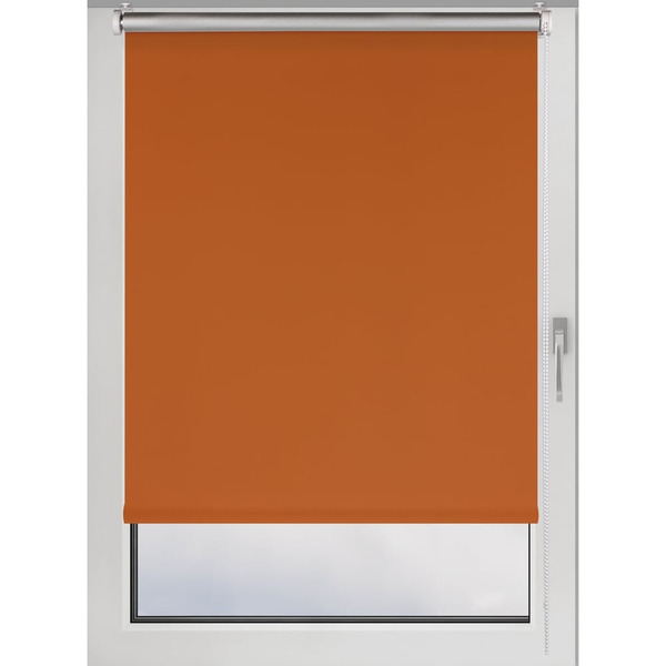 Рулонная штора PRAKTO 9403219773