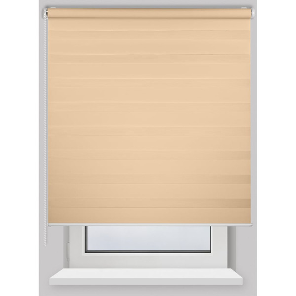 Рулонная штора PRAKTO Day&Night 8312159