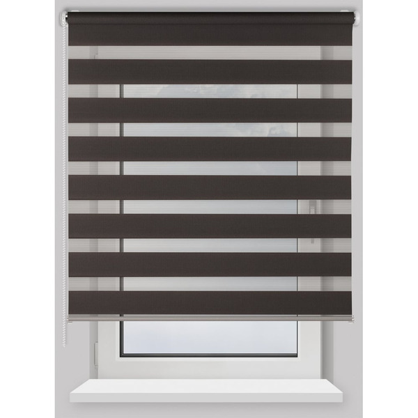 Рулонная штора PRAKTO Day&Night 8311930