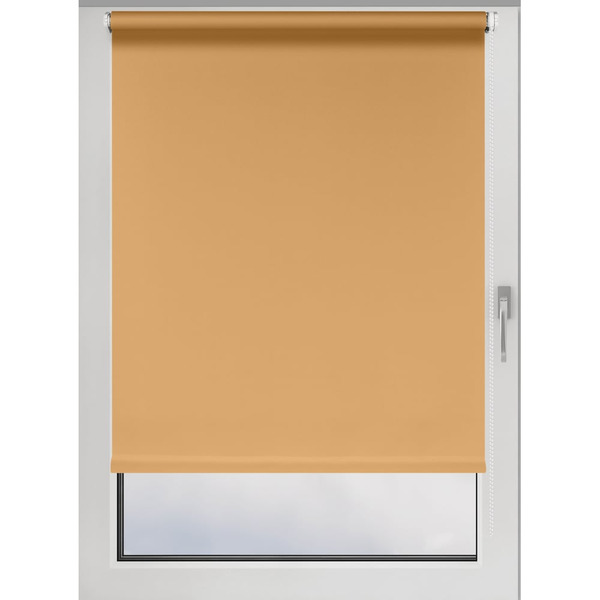 Рулонная штора PRAKTO Easy 8316744