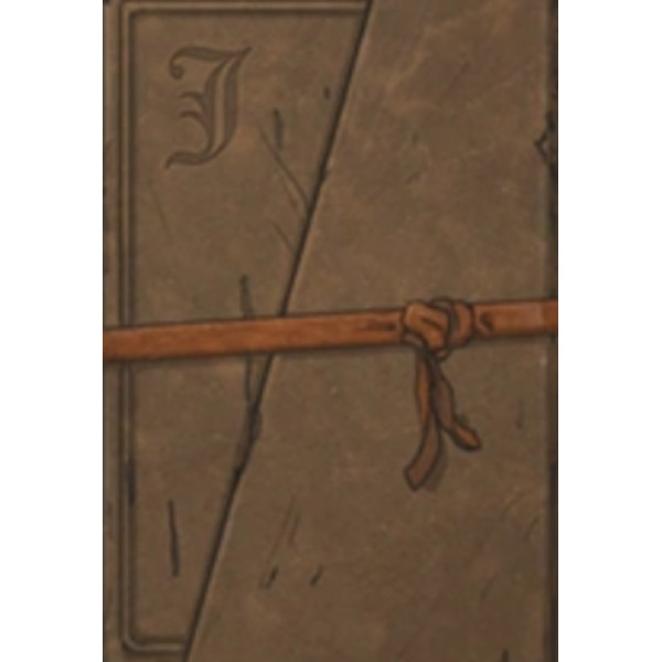 Дневник лецеиста