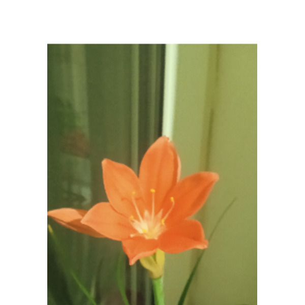 Линия Жизни одна