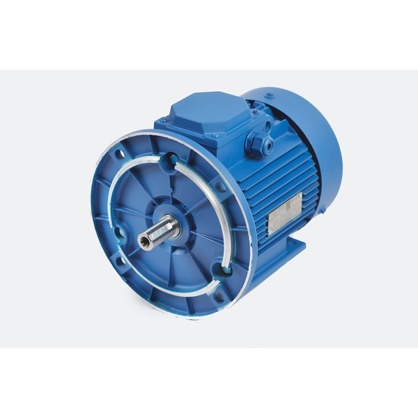 Электродвигатель МЭЗ АИР90L4 2081