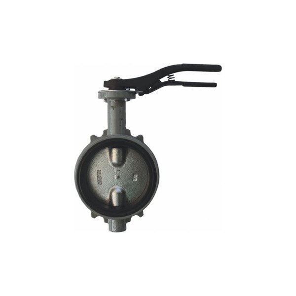 Дисковый поворотный затвор Giacomini DN100 R59WX010