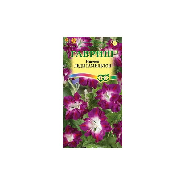 Семена ГАВРИШ 191021308