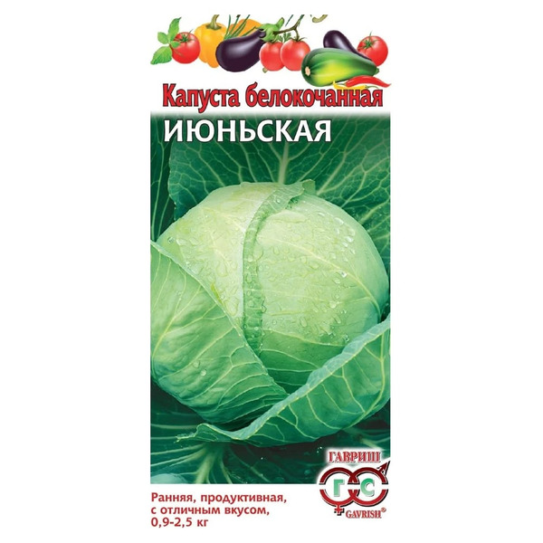 Семена ГАВРИШ 000251