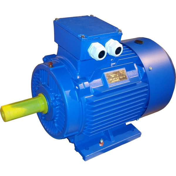 Электродвигатель ЭМШ AIS160L-6У1 Х0000044182