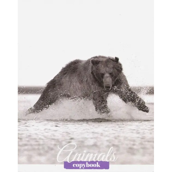 Тетрадь Дикие животные, 48 листов, А5, клетка