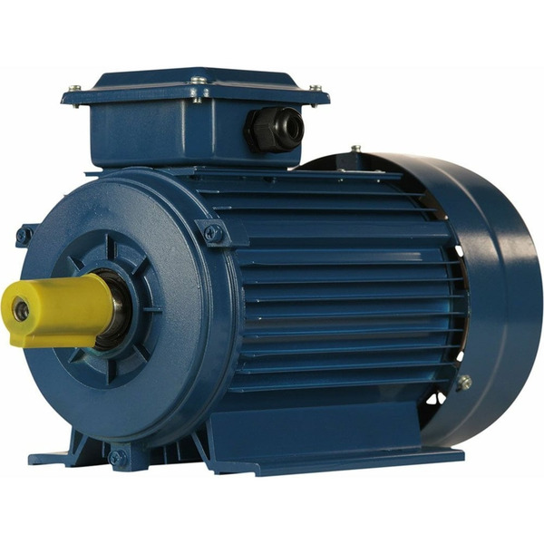 Электродвигатель 5АИ 80 А4 FT100 1.1/1500 IM 2181 01.01.221507