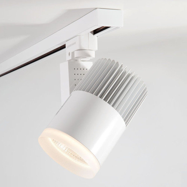 Потолочный светильник Elektrostandard Accord a039567