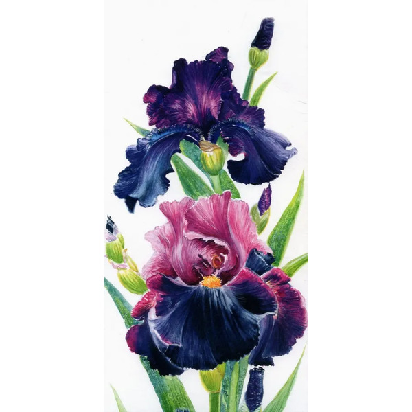 Конверт для денег № 41. Цветы