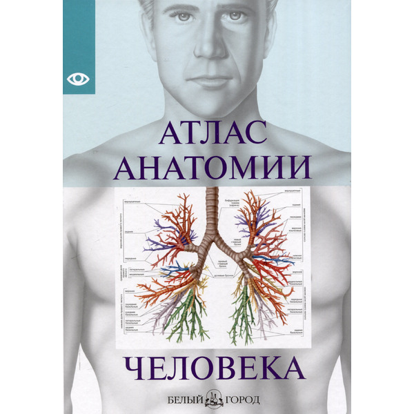 Атлас анатомии человека, изд 2025