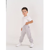 Джоггеры флисовые "Пепел"