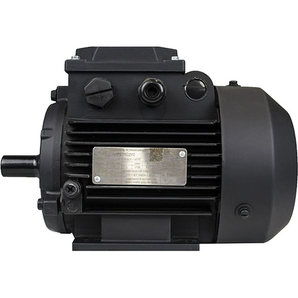 Электродвигатель МЭЗ АИРЕ56В2-У3-220-50IM1081К31Е 1081