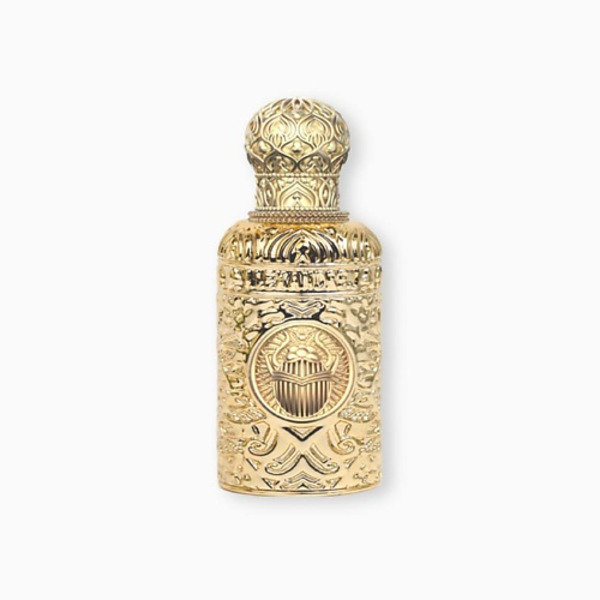 ALEXANDRE J Black Beetle 25