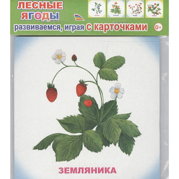 Обучающие карточки Лесные ягоды (упаковка) (978-5-91282-757-0)