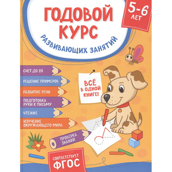 Годовой курс развивающих занятий. Для детей 5–6 лет