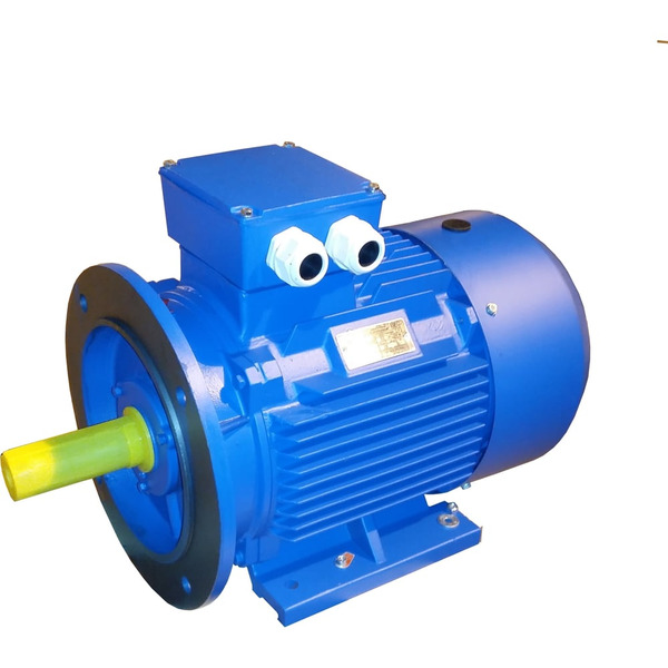 Электродвигатель ЭМШ AIS160L-4У1 Х0000044161