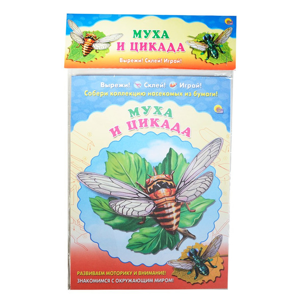 Муха. Цикада